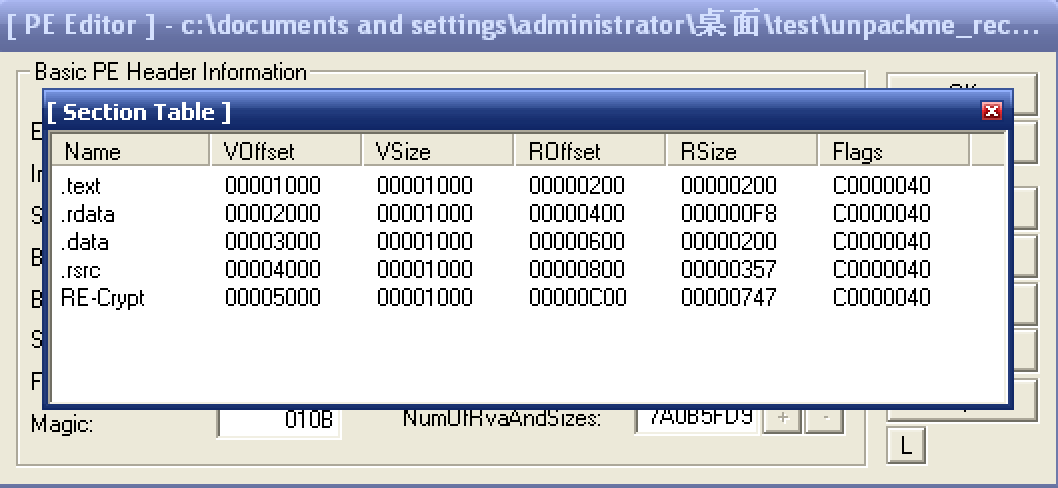 使用 LoadPE 查看区段