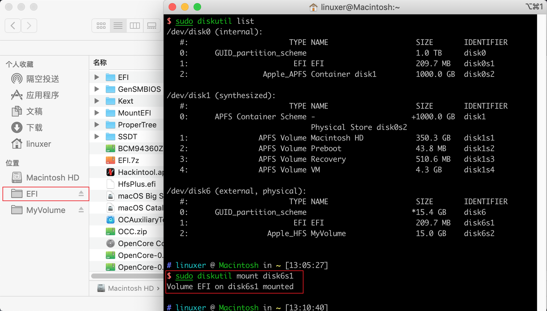 显示已经挂载的 EFI 分区
